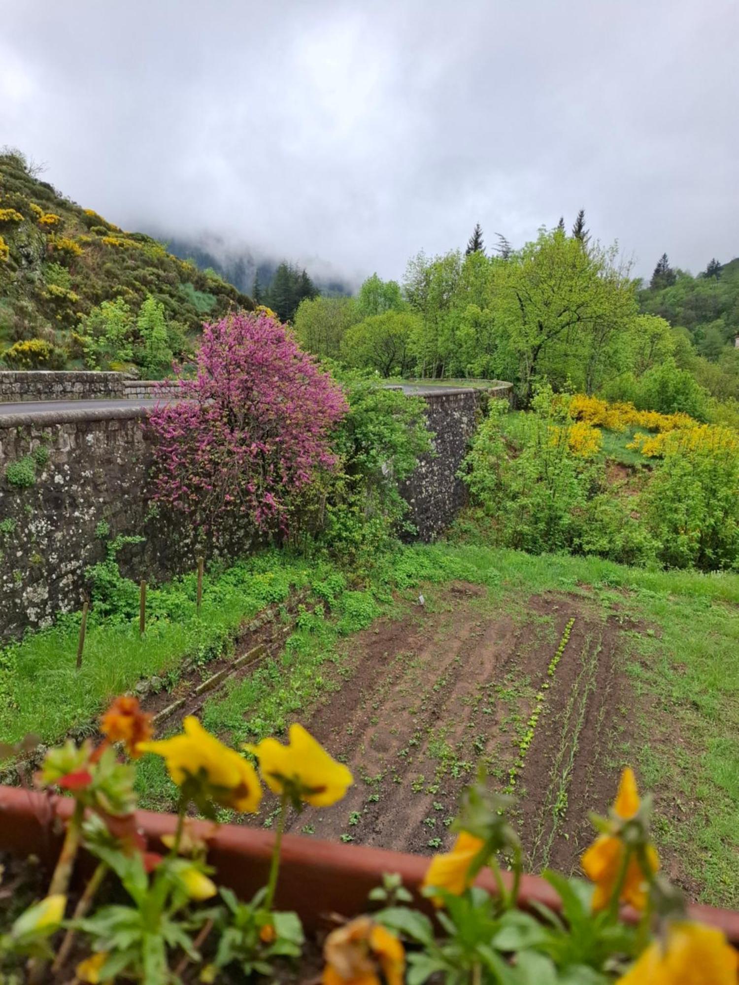 Auberge Arthea Laviolle Dış mekan fotoğraf