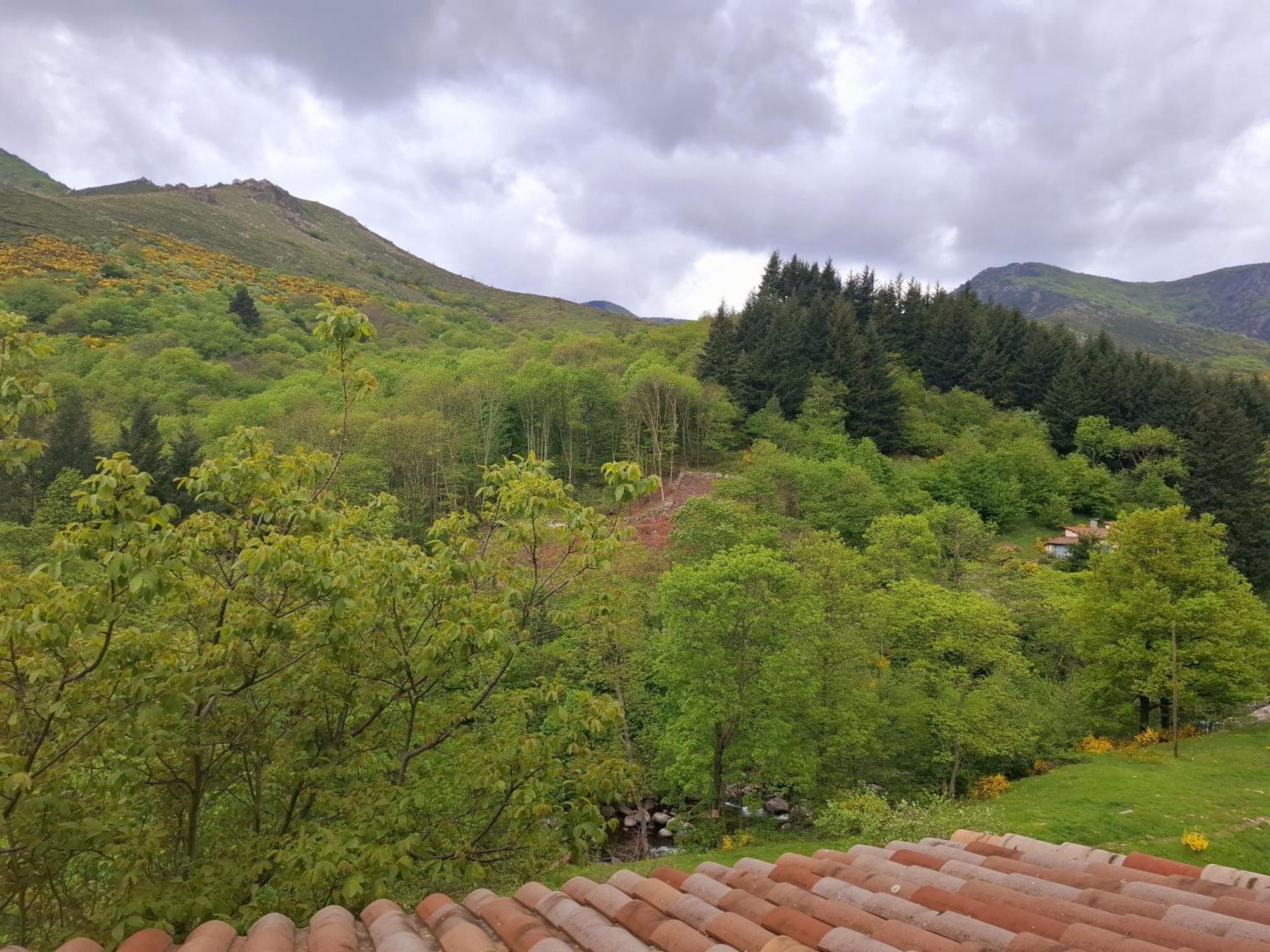 Auberge Arthea Laviolle Oda fotoğraf