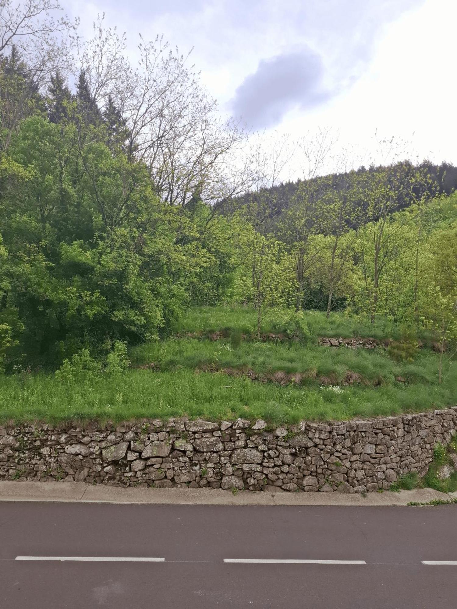 Auberge Arthea Laviolle Oda fotoğraf