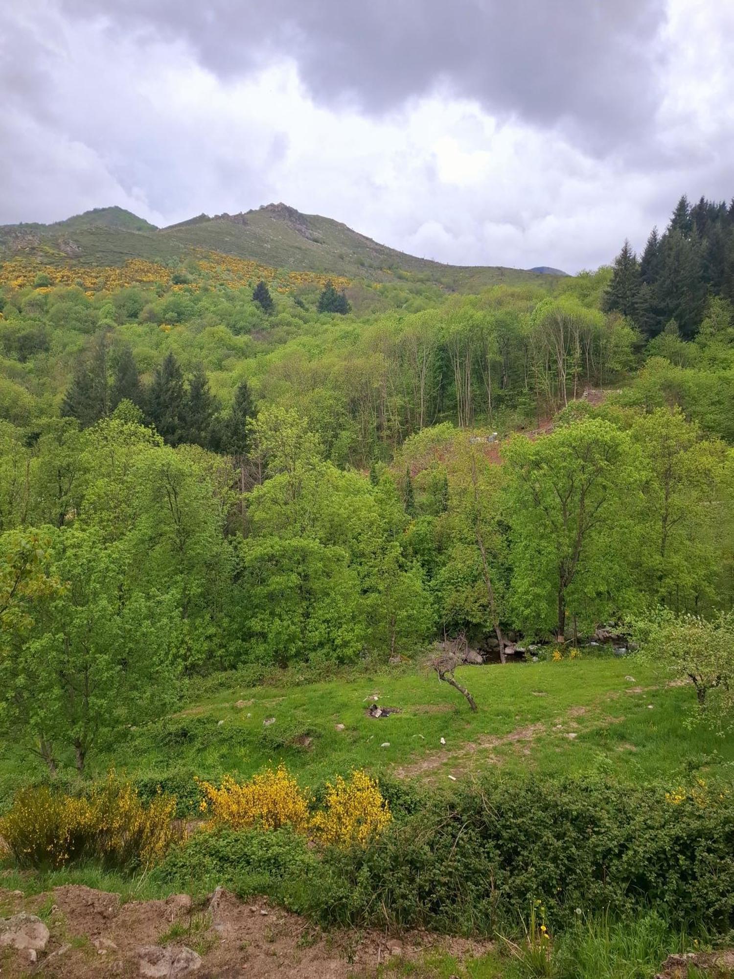 Auberge Arthea Laviolle Oda fotoğraf
