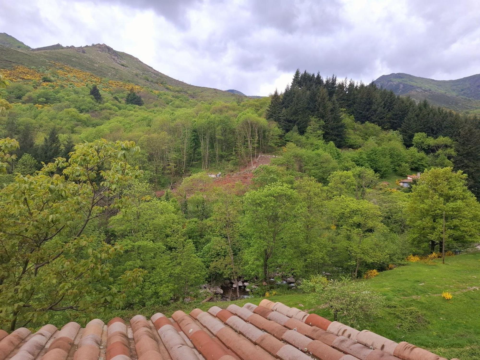 Auberge Arthea Laviolle Oda fotoğraf